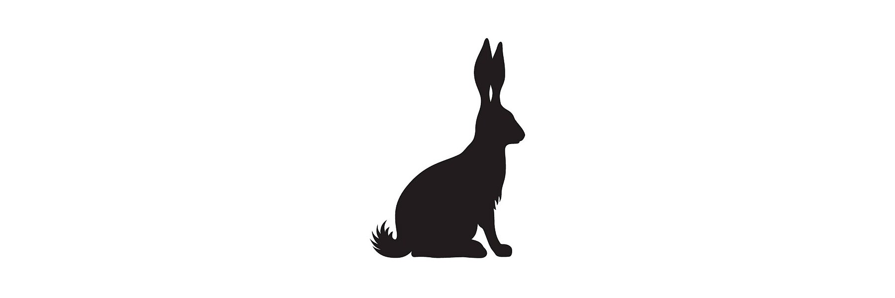 Kaninchen ist fettarm und hoch bekömmlich.