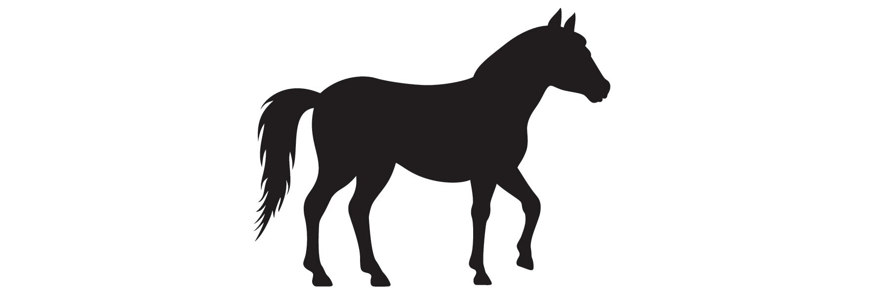 Mischungen nur mit Pferd als Proteinquelle.