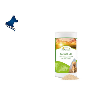 Cornett +H (250g)