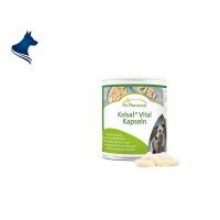 Kolsal Vital Kapseln (50 St&uuml;ck)