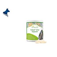 Kolsal Vital Kapseln (100 St&uuml;ck)