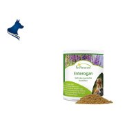 Enterogan (100g)