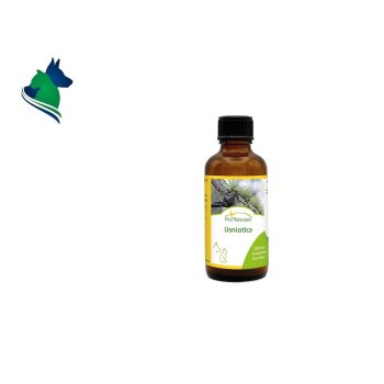 Usniotica (50ml)
