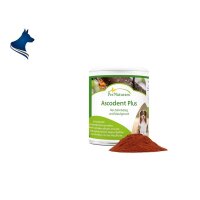 Ascodent Plus (50g)