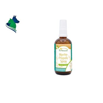 Myrrhe-Propolis-Spray (100ml)
