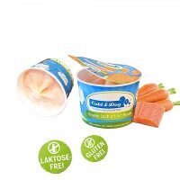 Cold & Dog Frozen Joghurt Wildlachs (90ml)