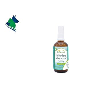 Kolloidales Silberwasser 50 ppm (100ml) Spray