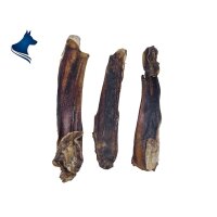 Pferde-Nasenknochen (5 Stück)
