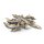 Trockenfisch Sprotten (250g)