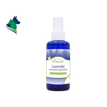 Lavendel Hydrolat (100 ml)
