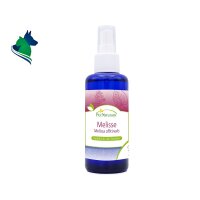 Melisse Hydrolat (100 ml)