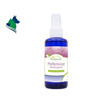 Pfefferminze Hydrolat (100ml)