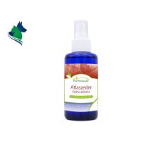 Atlaszeder Hydrolat (100 ml)