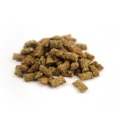 Spinat Kissen (100g)