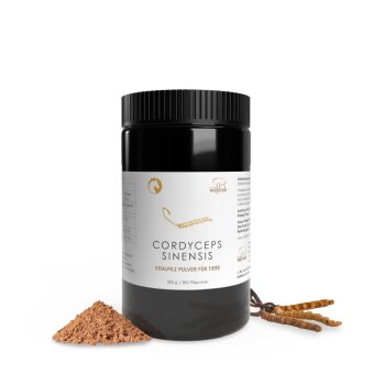 Konv. Cordyceps sinensis (300g)