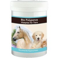 BIO Polyporus Pulver (100g)