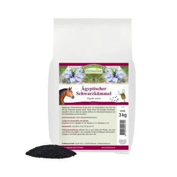 Ägyptischer Schwarzkümmel (3kg)