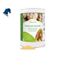 Knoblauchgranulat (1kg)