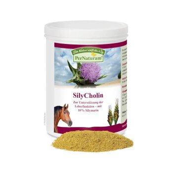 SilyCholin (500g)