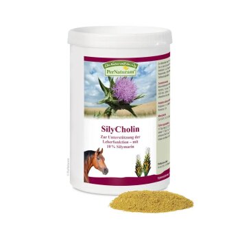 SilyCholin (1kg)