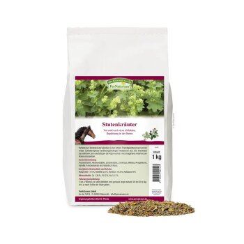 Stutenkräuter (1kg)