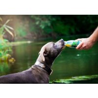 Trinkpause-Ente (250ml)