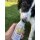 Immunio (250ml)