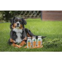 Smoothie nach Moro Art (250ml)