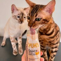 SmoothieCat Huhn (150ml)