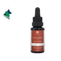 Drachenblut (20ml)