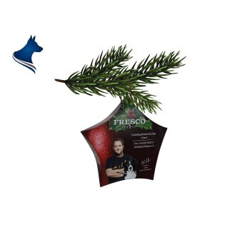 Martin Rütter Weihnachtssnack Rind (100g)