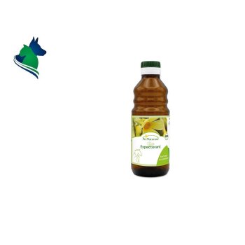 Bio-Echina Saft (250ml)