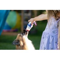 Doggyroller (navy)