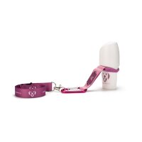 Doggyroller (rosa)