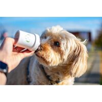 Doggypumper (navy)