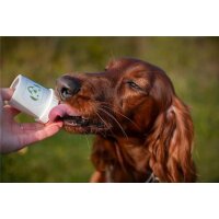 Doggypumper (gr&uuml;n)