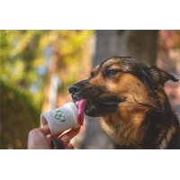 Doggypumper (t&uuml;rkis)