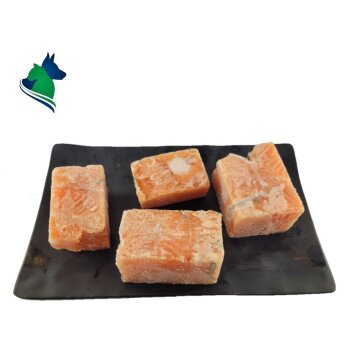 Barf Lachs in Würfel lose (1000g)