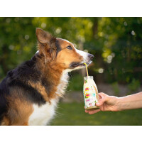 Pina PAW lada (250ml)