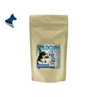 HYLOCUR+ (200g)