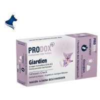 Schnelltest - Giardien