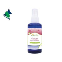 Cistrose Hydrolat (100 ml)