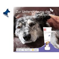 PHA BeruhigungsPaste f&uuml;r Hunde (100ml)