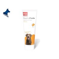 PHA GastroPaste für Hunde (100ml)