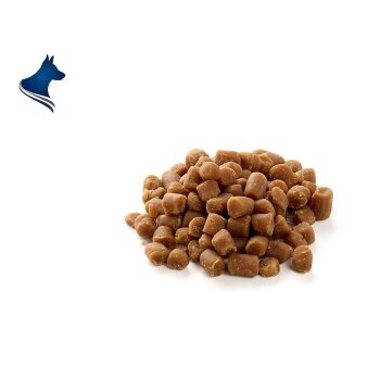 Weiche Happen - Pferd (200g)