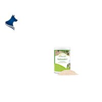 Pankreatin P (100g)