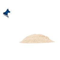Pankreatin P (100g)