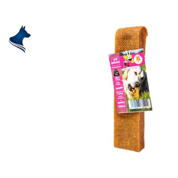 Käse Kauknochen rote Bete XL
