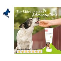PHA VitaminPaste f&uuml;r Hunde (100ml)