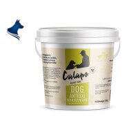 DOG SCHUTZENGERL ANTIOXIDANTIEN für Hunde (300g)